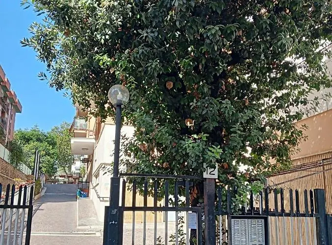 Ripoli *